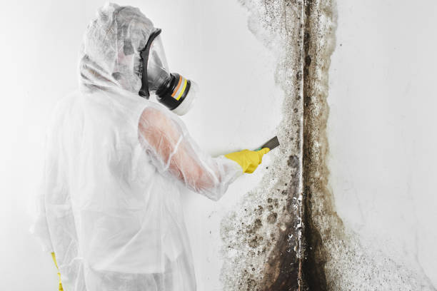 Best Crawl Space Mold Removal  in Central, SC