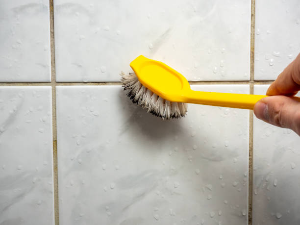 Professional Mold Removal in Central, SC