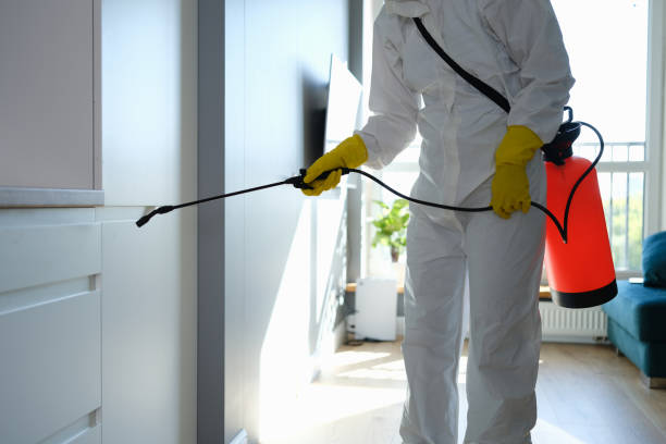 Best Mold Damage Repair  in Central, SC