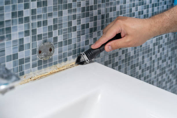Best Home Mold Removal  in Central, SC