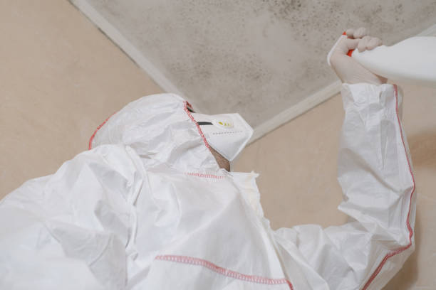 Best Professional Mold Removal  in Central, SC