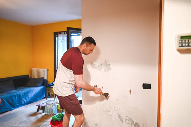 Best Mold Removal and Inspection  in Central, SC