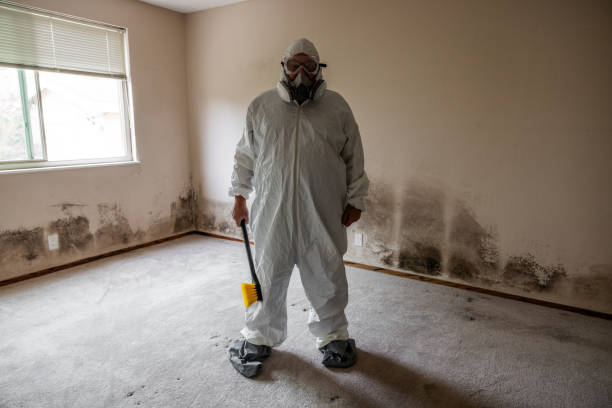 Best Certified Mold Removal  in Central, SC