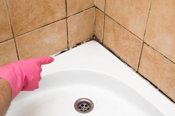 Mold Testing and Removal in Central, SC